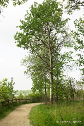 Scenic at Little Red Schoolhouse nature preserve