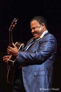 Henry Johnson, guitarist