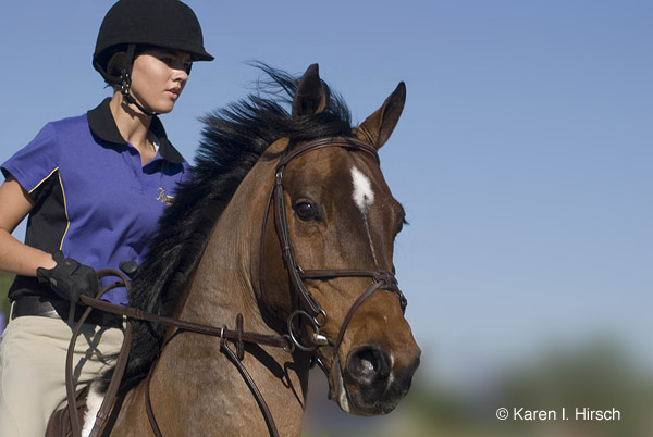 Woman on horse in rink