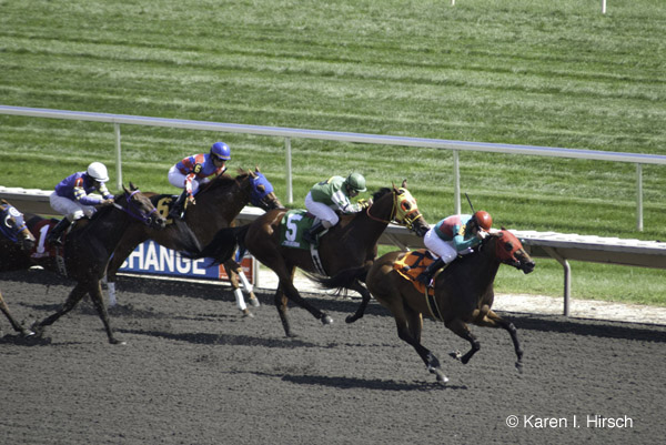 horse race - Arlington Park