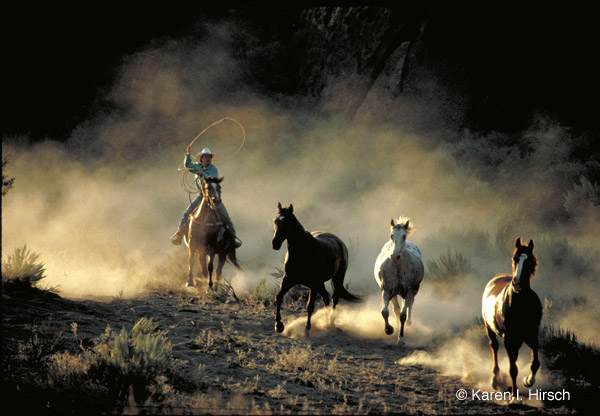 Round up